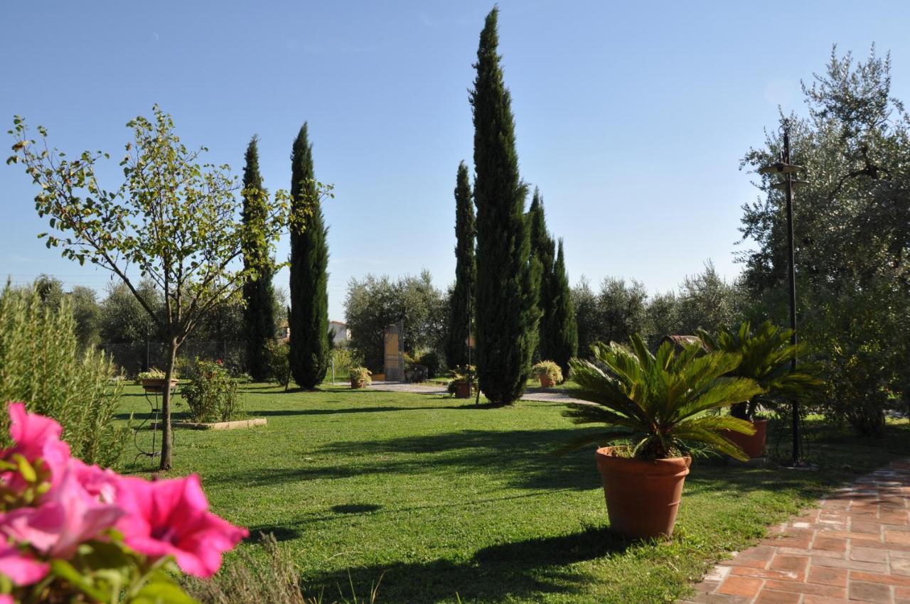 Agriturismo Tori 2 Montecarlo Exteriör bild